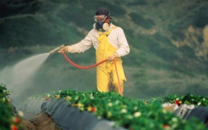 Video: Tuyệt chiêu loại bỏ thuốc trừ sâu dính trên trái cây