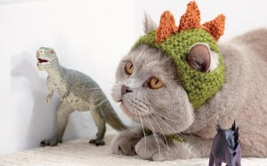 Tử vi 12 cung hoàng đạo thứ Bảy (16/12/2017)