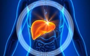 Top 12 loại thực phẩm giúp gan luôn khỏe mạnh