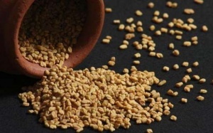 Tác dụng phụ của hạt cỏ cà ri mà có thể bạn chưa biết