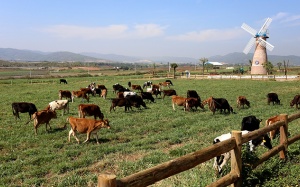 Vinamilk 3 năm liền đứng đầu Top 10 doanh nghiệm niêm yết uy tín