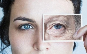 Cắt giảm lượng calorie giúp làm chậm lão hóa, ngăn ngừa nếp nhăn