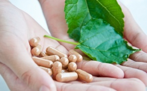 Giải pháp nào cho khung pháp lý trong quản lý TPCN tại Việt Nam