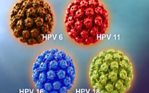 Nam giới chưa quan hệ 'chăn gối' cũng có thể nhiễm HPV?