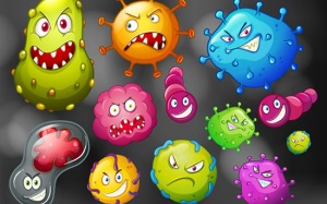 5 quan điểm sai lầm thường gặp về những tác nhân gây bệnh 