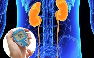 Bệnh thận làm tăng nguy cơ mắc đái tháo đường