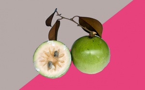 Vô vàn lợi ích từ vú sữa - trái cây đặc sản Việt Nam được xuất khẩu sang Mỹ