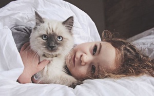 Tử vi 12 cung hoàng đạo Chủ nhật (31/12/2017)