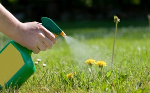 Chất bạn không bao giờ muốn có trong thực phẩm chức năng của mình