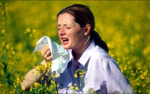 Video: Làm thế nào để biết bạn đang bị cảm hay chỉ bị dị ứng?