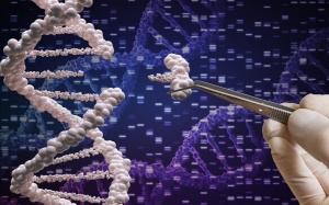 10 tiến bộ y học thế giới đáng kinh ngạc trong năm 2017 