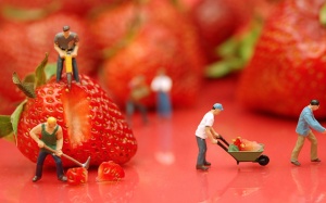 Điểm danh các loại quả mọng 'nhỏ mà có võ'