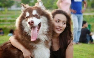 5 căn bệnh nguy hiểm bạn có thể bị lây từ động vật