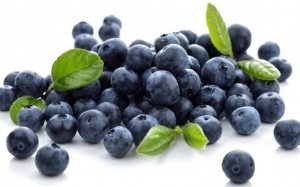 Hiệu quả của chiết xuất việt quất trong điều trị ung thư như thế nào?