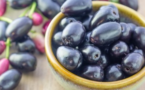 Trâm mốc - Phương thuốc tự nhiên để kiểm soát đái tháo đường