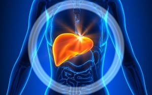 6 dấu hiệu cảnh báo gan của bạn đang bị 'quá tải'