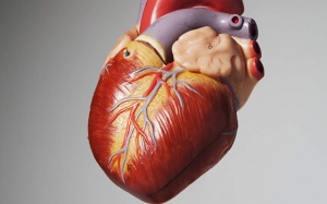 12 căn bệnh nguy hiểm có thể gây suy tim sung huyết