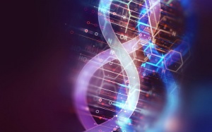 Đột biến gene gây nên bệnh đái tháo đường?