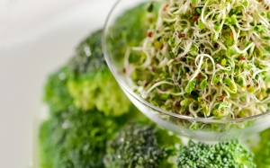 Mầm bông cải xanh: Không chỉ ngon mà còn cực bổ!