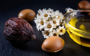 Những điều cần biết về dầu argan - 'chất lỏng vàng' làm đẹp tự nhiên