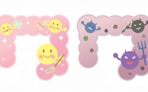 Vì sao men vi sinh lại tốt cho trẻ biếng ăn?