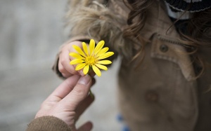 Tử vi tuần mới (29/1 - 4/2/2018) với 12 cung hoàng đạo