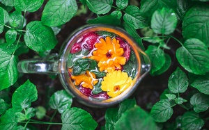 “Khởi động” lại hormone nhờ detox tự nhiên