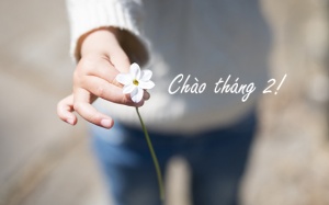 Tử vi 12 cung hoàng đạo tháng 2/2018