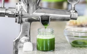 Nước ép cỏ lúa mì - hy vọng mới cho người viêm loét đại tràng