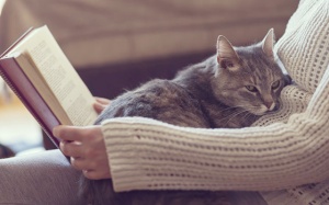 Tử vi 12 cung hoàng đạo thứ Bảy (3/2/2018): Cuối tuần rực rỡ của Nhân Mã và Bạch Dương