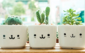 Tử vi 12 cung hoàng đạo Chủ nhật (4/2/2018): Ngày vui với Ma Kết, Song Ngư