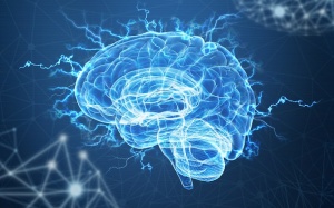 Bị va chạm mạnh vào đầu thời trẻ dễ mắc sa sút trí tuệ khi về già