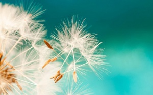 Tử vi 12 cung hoàng đạo thứ Năm (8/2/2018) may mắn với Nhân Mã, Song Tử