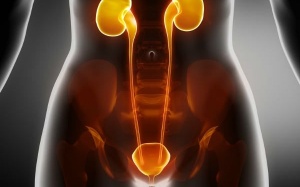 Những thực phẩm cần tránh với người bị sỏi thận trong dịp Tết 