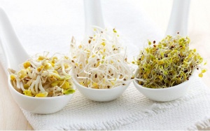 10 lý do bạn nên ăn giá đỗ thường xuyên hơn