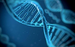 Rượu làm tổn hại tế bào gốc và tăng nguy cơ ung thư thế nào?