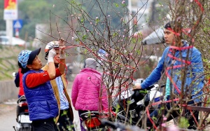 Thời tiết 3 miền dịp Tết Nguyên đán như thế nào?