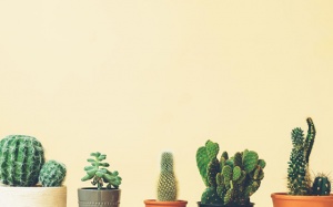 Tử vi cung hoàng đạo thứ Bảy (24/2/2018): Nhiều biến cố với Song Tử, Xử Nữ