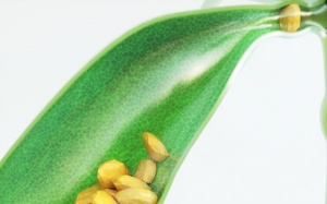 Thay đổi chế độ dinh dưỡng sau phẫu thuật cắt túi mật