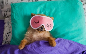 Tử vi cung hoàng đạo thứ Sáu (2/3/2018) nhiều bất ngờ với Song Tử, Thiên Bình