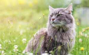 Tử vi cung hoàng đạo thứ Tư (7/3/2018): Ngày bình yên với Bạch Dương, Bọ Cạp