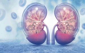 Những dấu hiệu 'thầm lặng' cảnh báo bệnh thận mạn tính