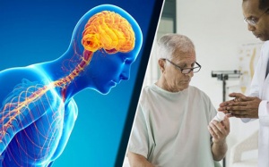 Lượng calci trong não có thể là nguyên nhân dẫn tới bệnh Parkinson