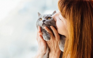 Tử vi cung hoàng đạo thứ Tư (14/3/2018) với Bọ Cạp, Nhân Mã