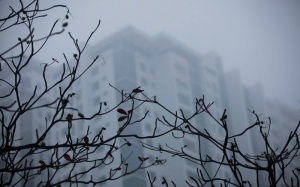 Sương mù bao phủ Bắc Bộ trong 2 - 3 ngày tới