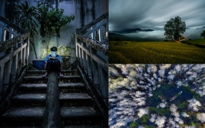 Tự hào 3 tác phẩm nhiếp ảnh Việt Nam đoạt giải thưởng danh giá