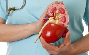 Những biến chứng mà phụ nữ mắc bệnh thận thường gặp phải