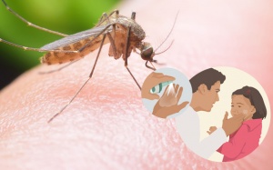 Nên chọn sản phẩm nào để chống muỗi cho trẻ?