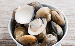 Ăn hàu, ngao, sò… có lợi, hại gì cho sức khỏe?