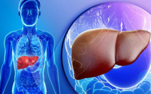 Suy giảm chức năng gan: Những dấu hiệu nguy hiểm